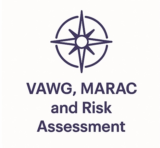 VAWG, MARAC and Risk Assessment 