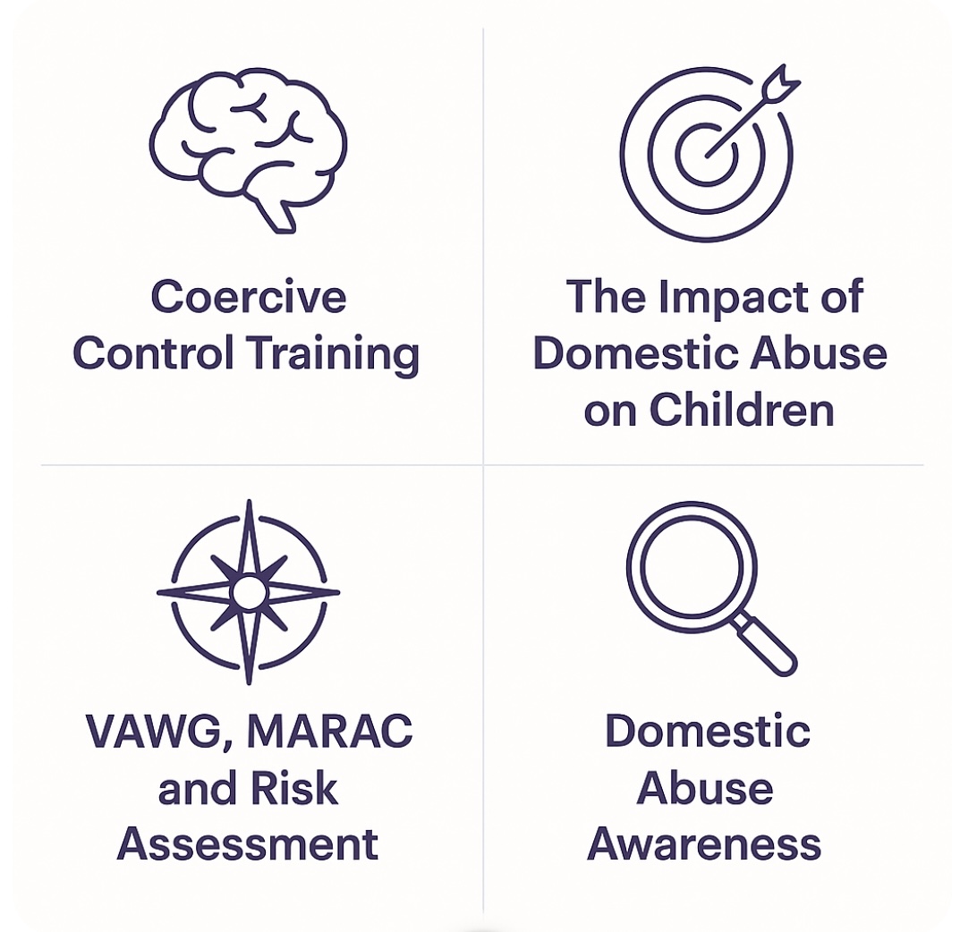 Domestic Abuse Champions Training